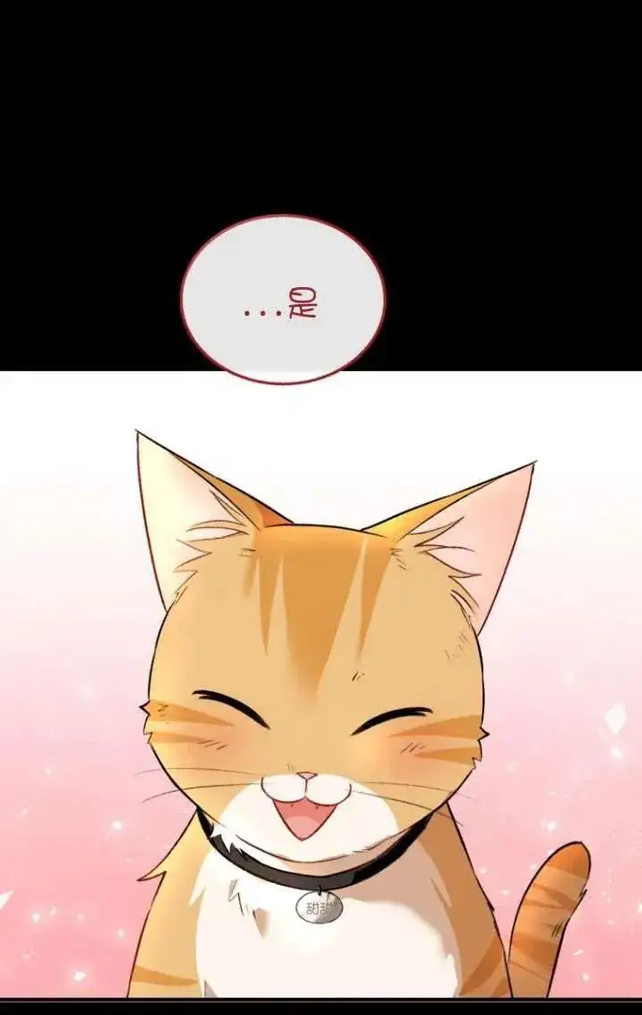 漫画《兽医先生！你好？》第07话第50张图