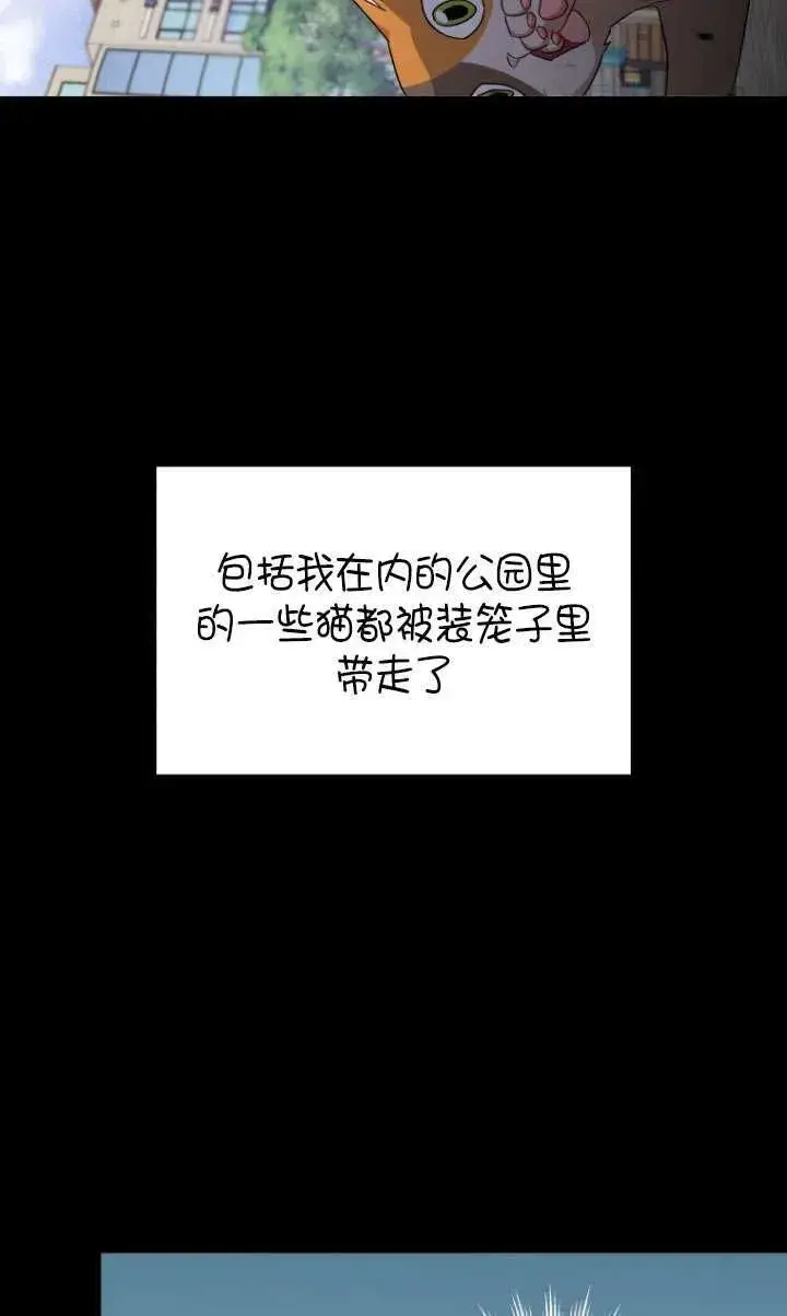 漫画《兽医先生！你好？》第07话第55张图