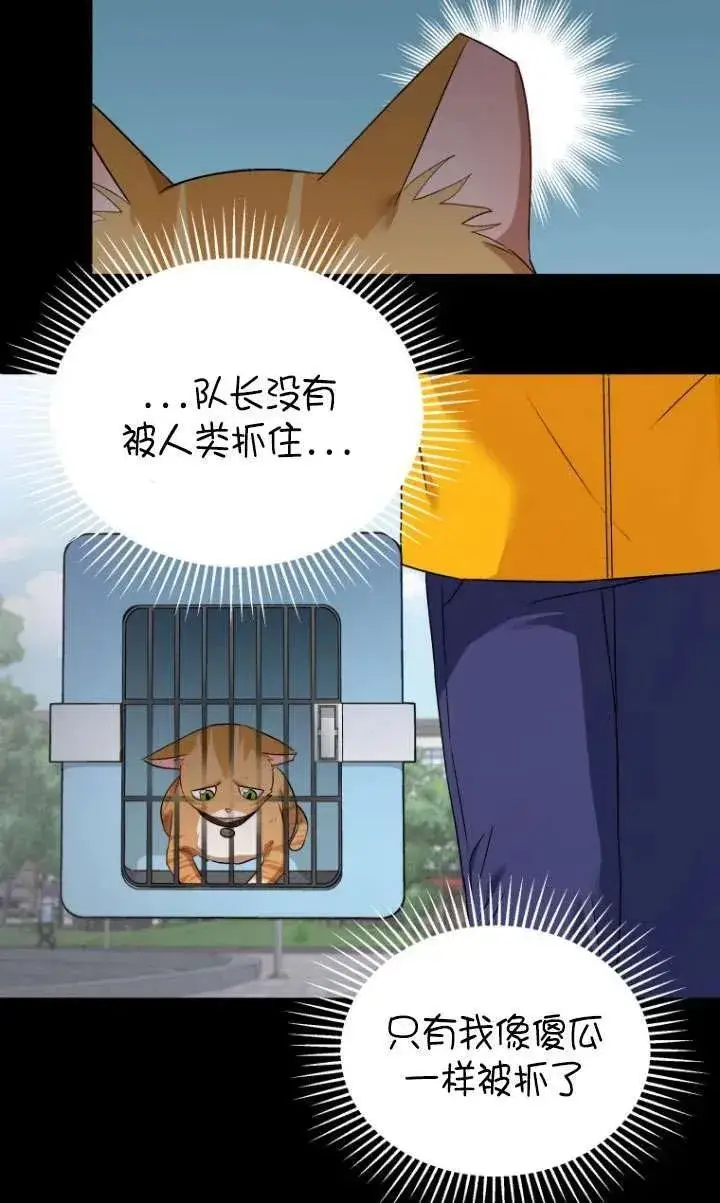 漫画《兽医先生！你好？》第07话第56张图