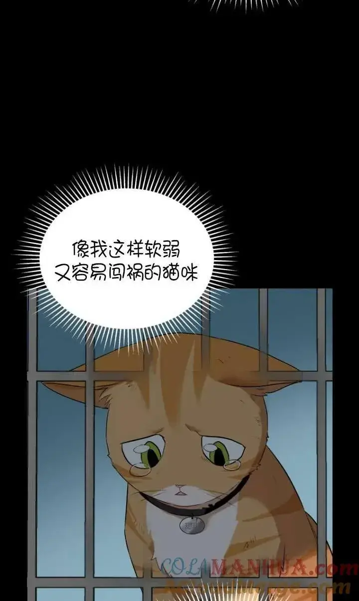 漫画《兽医先生！你好？》第07话第57张图