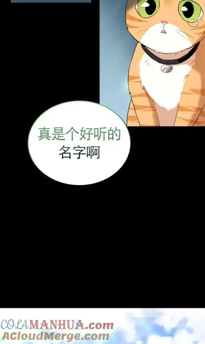 漫画《兽医先生！你好？》第07话第61张图