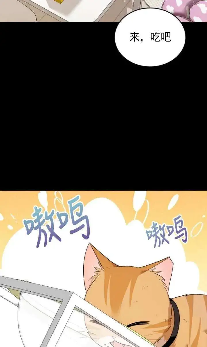 漫画《兽医先生！你好？》第07话第64张图