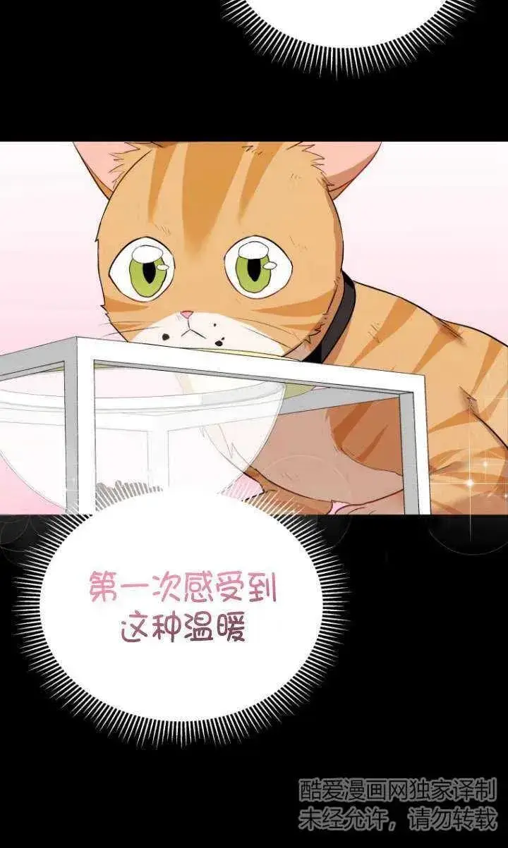 漫画《兽医先生！你好？》第07话第67张图