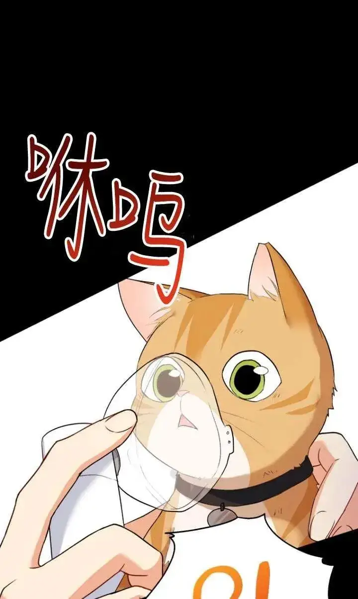 漫画《兽医先生！你好？》第07话第70张图