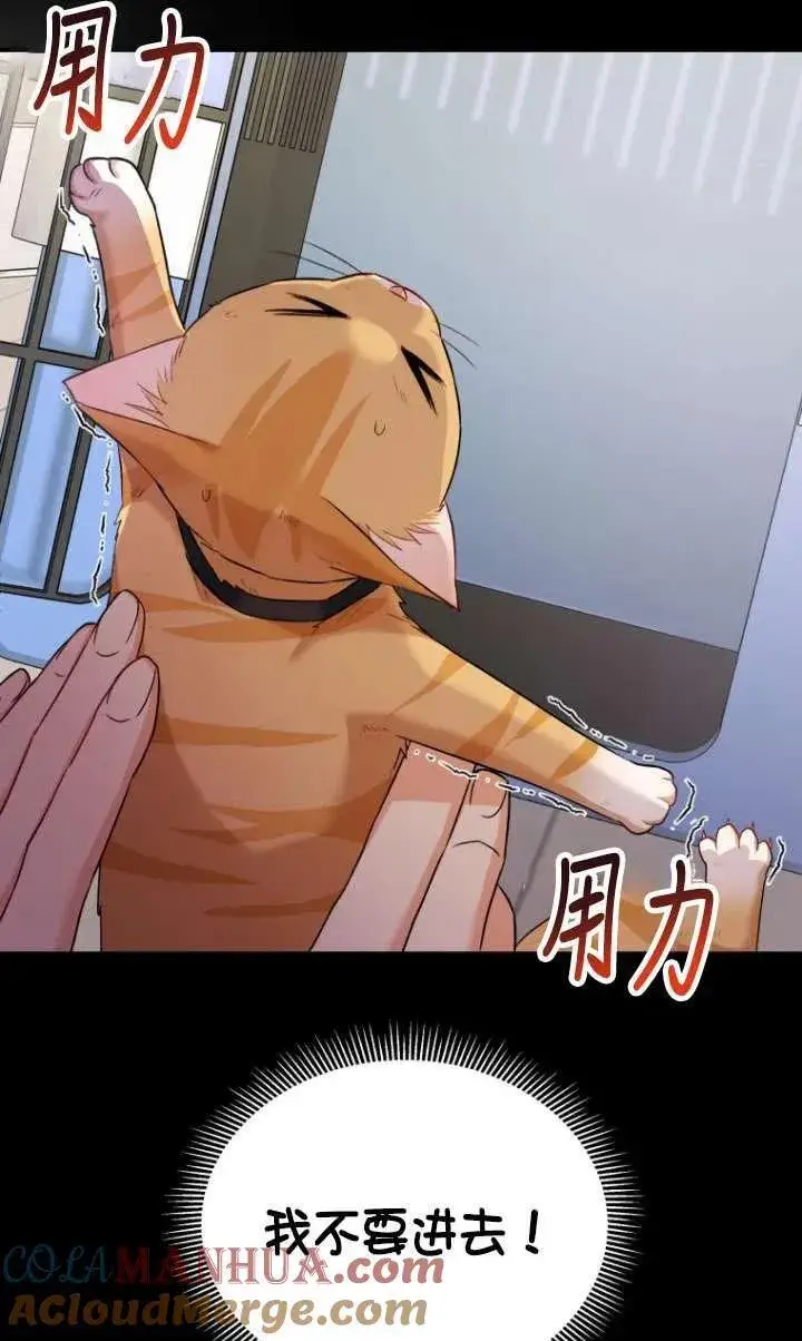 漫画《兽医先生！你好？》第07话第73张图