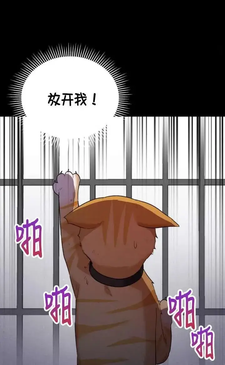漫画《兽医先生！你好？》第07话第75张图