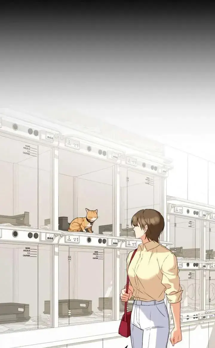 漫画《兽医先生！你好？》第07话第82张图