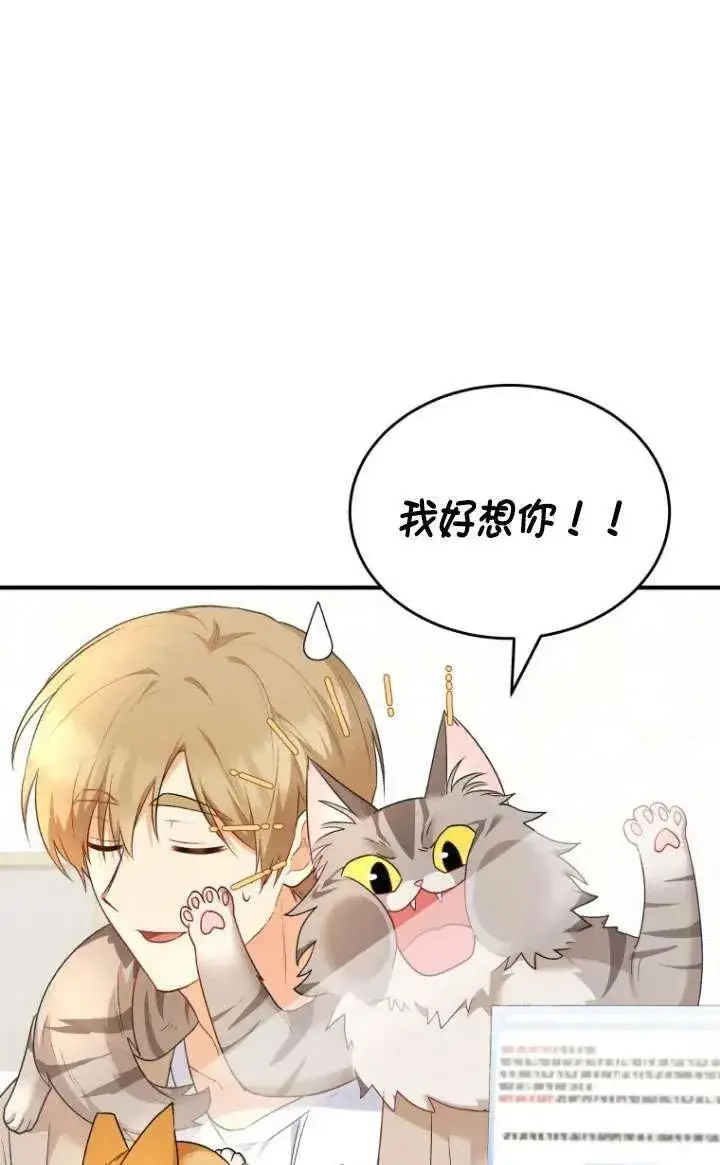 漫画《兽医先生！你好？》第07话第94张图