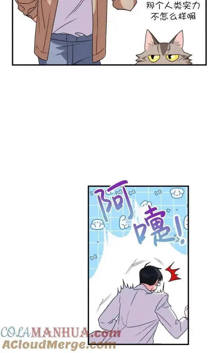 漫画《兽医先生！你好？》第08话第105张图