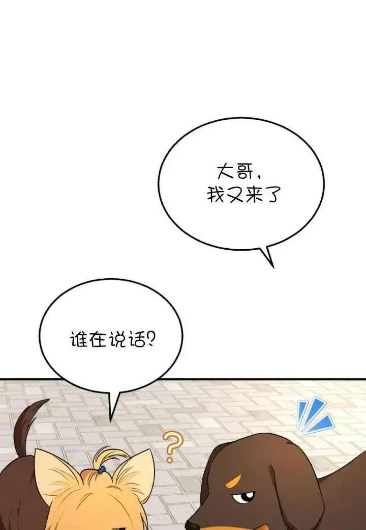 漫画《兽医先生！你好？》第08话第108张图
