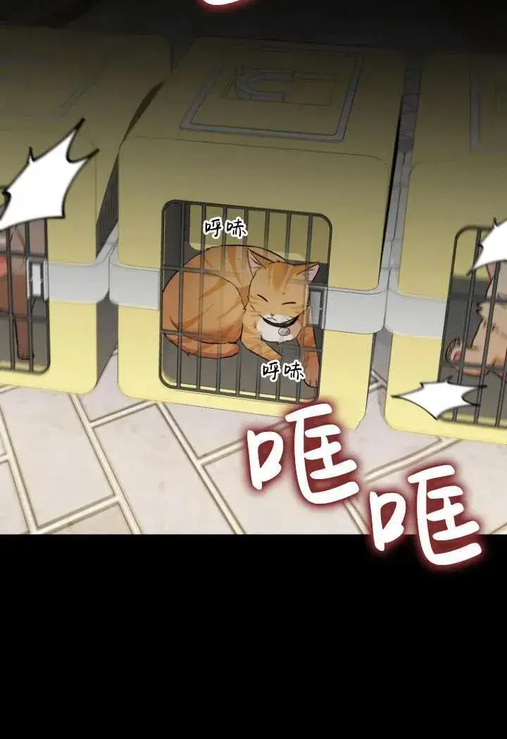 漫画《兽医先生！你好？》第08话第18张图