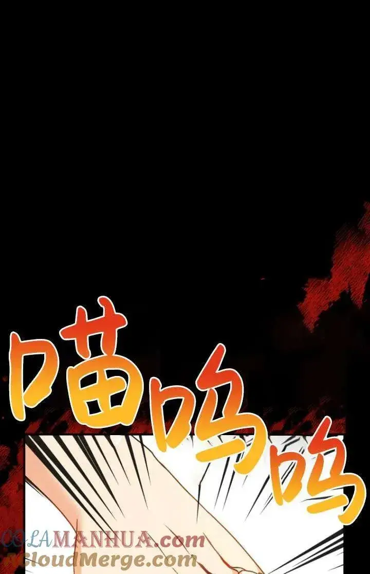 漫画《兽医先生！你好？》第08话第33张图