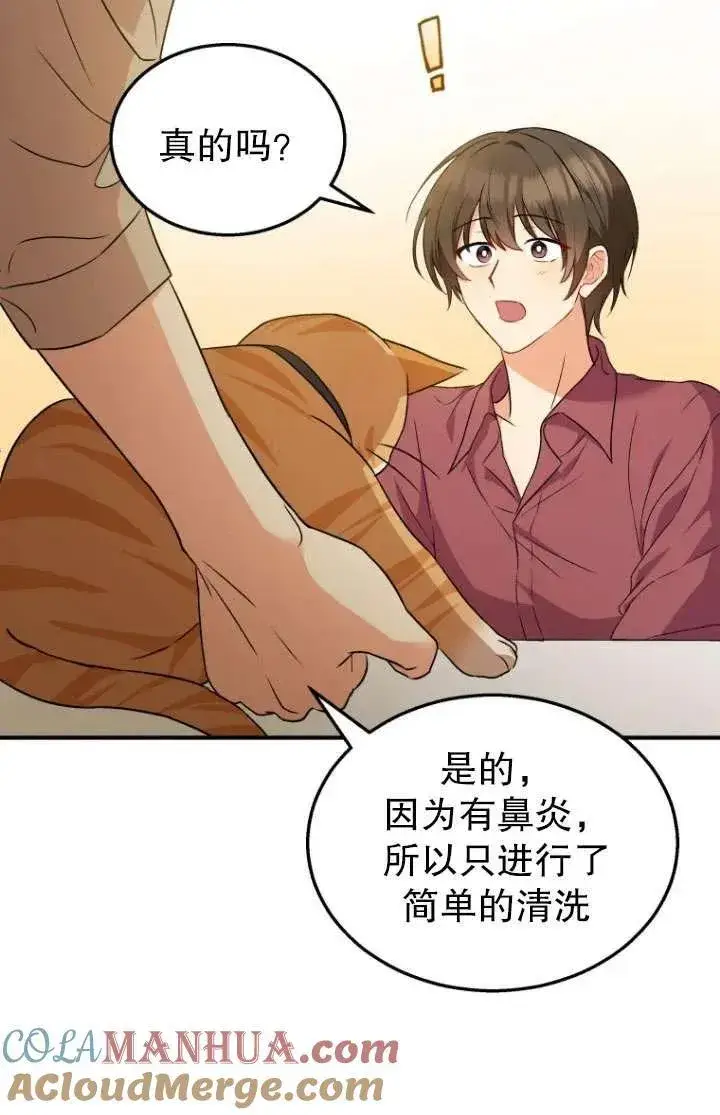 漫画《兽医先生！你好？》第08话第45张图