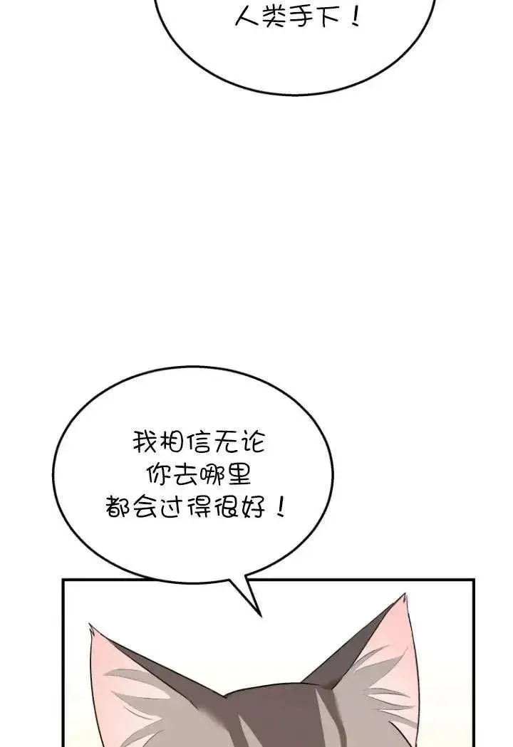 漫画《兽医先生！你好？》第08话第84张图