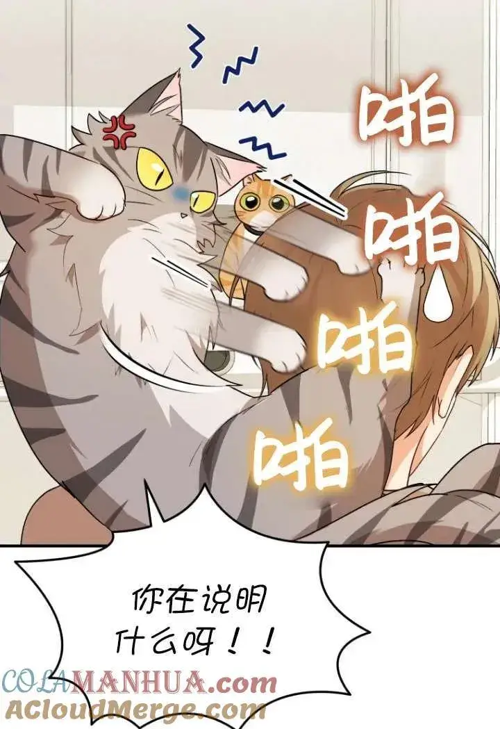 漫画《兽医先生！你好？》第08话第9张图
