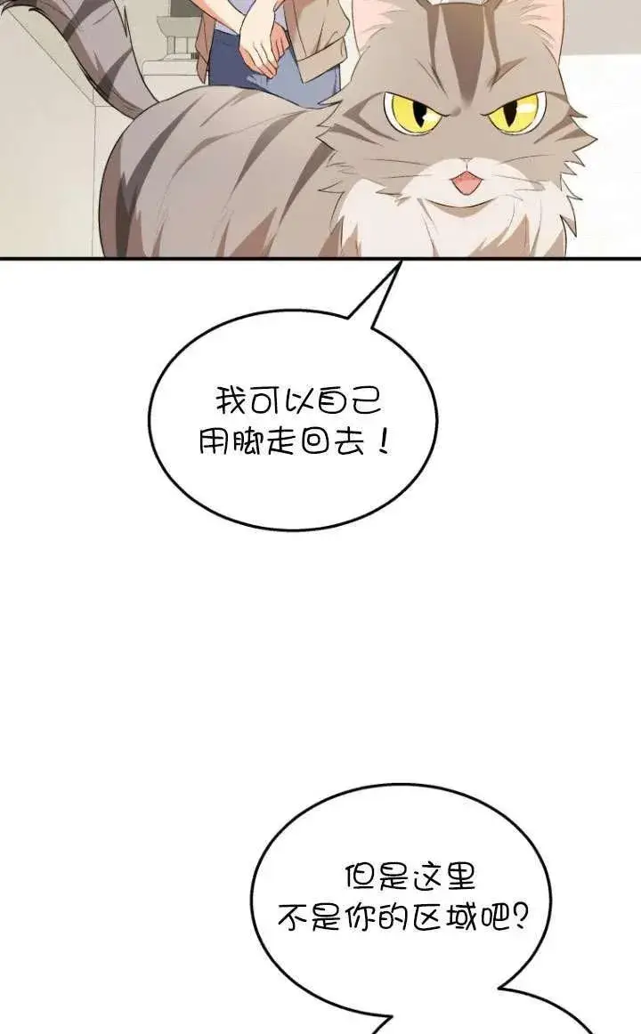 漫画《兽医先生！你好？》第08话第95张图