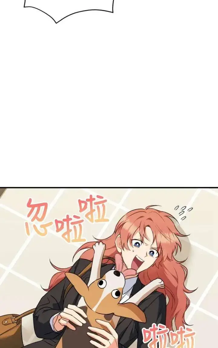 漫画《兽医先生！你好？》第09话第11张图