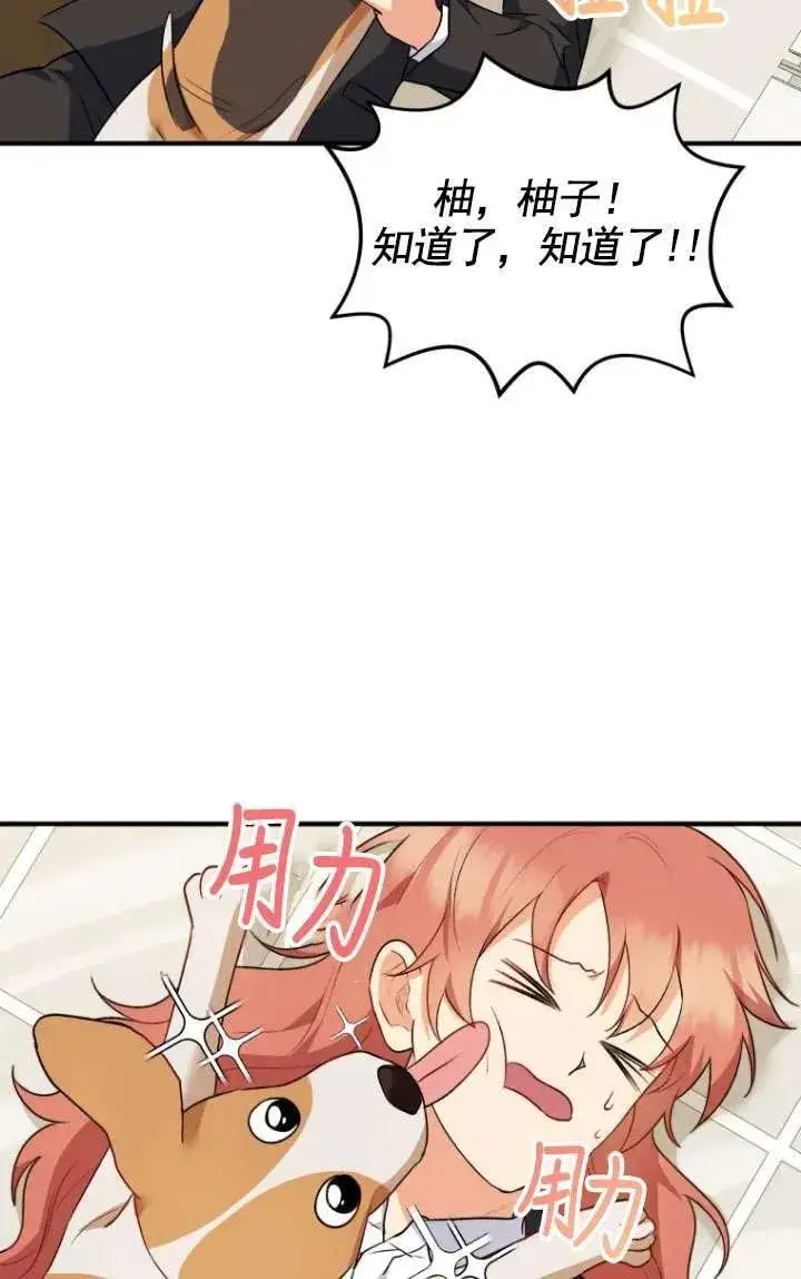 漫画《兽医先生！你好？》第09话第12张图