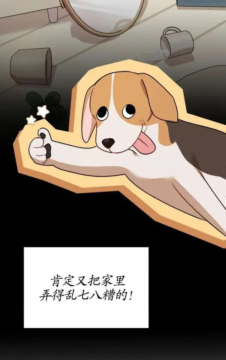 漫画《兽医先生！你好？》第09话第15张图