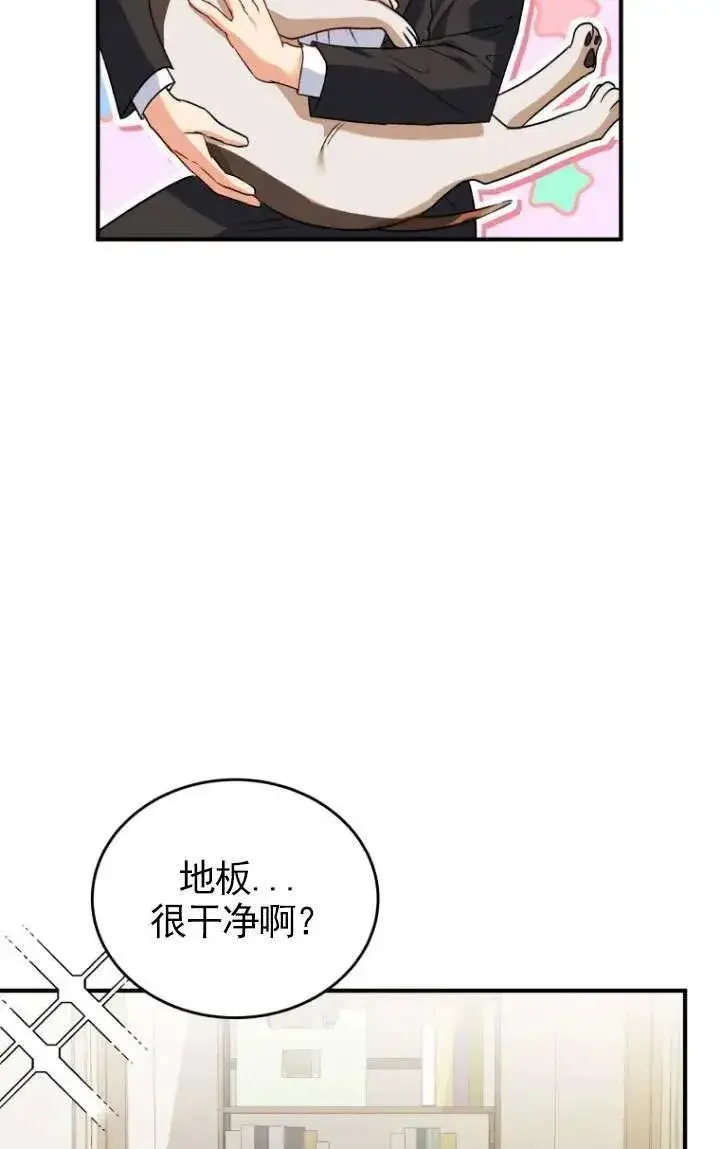 漫画《兽医先生！你好？》第09话第17张图