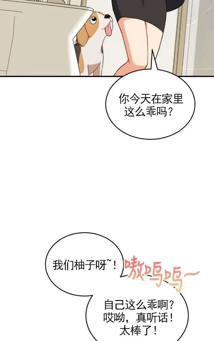 漫画《兽医先生！你好？》第09话第20张图
