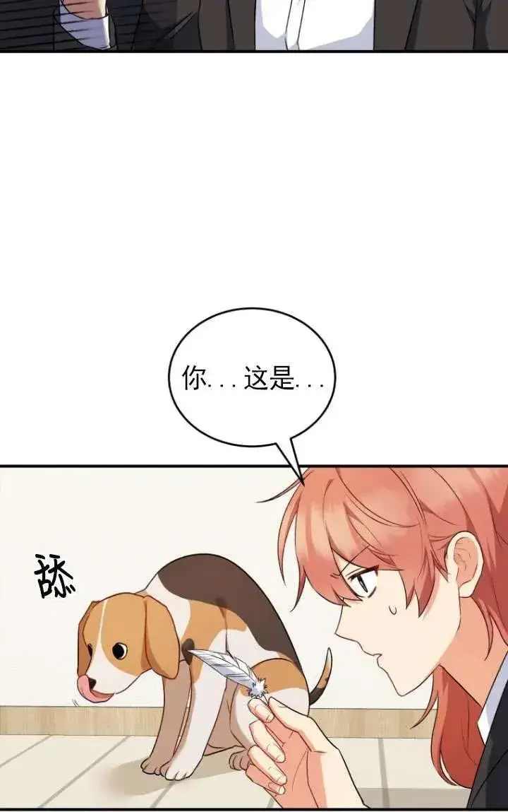 漫画《兽医先生！你好？》第09话第23张图