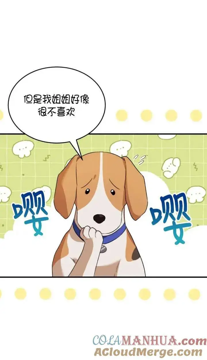 漫画《兽医先生！你好？》第09话第40张图