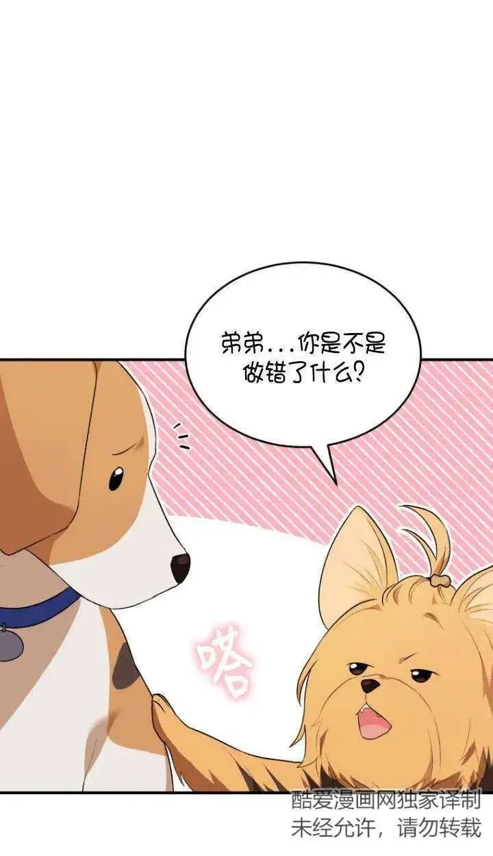 漫画《兽医先生！你好？》第09话第42张图