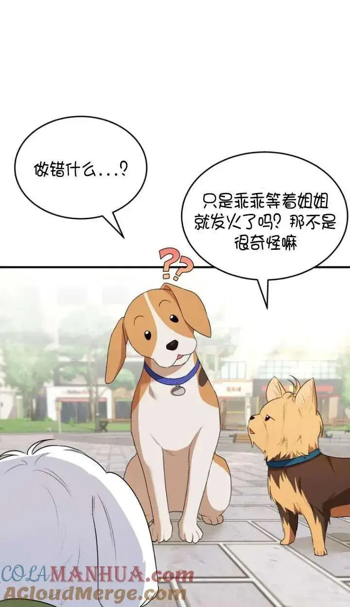 漫画《兽医先生！你好？》第09话第43张图