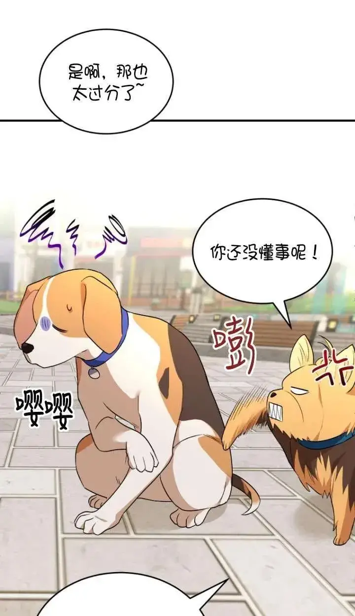漫画《兽医先生！你好？》第09话第48张图