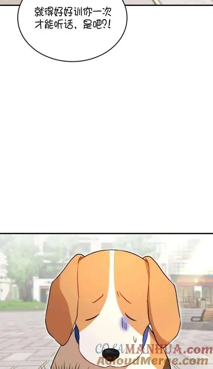 漫画《兽医先生！你好？》第09话第49张图