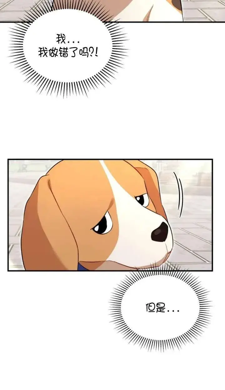 漫画《兽医先生！你好？》第09话第50张图
