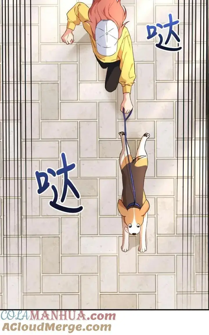 漫画《兽医先生！你好？》第09话第67张图