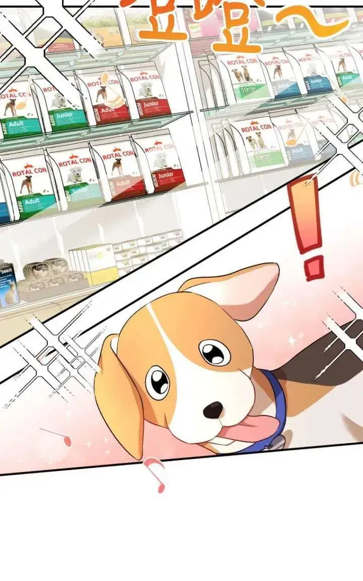 漫画《兽医先生！你好？》第09话第69张图