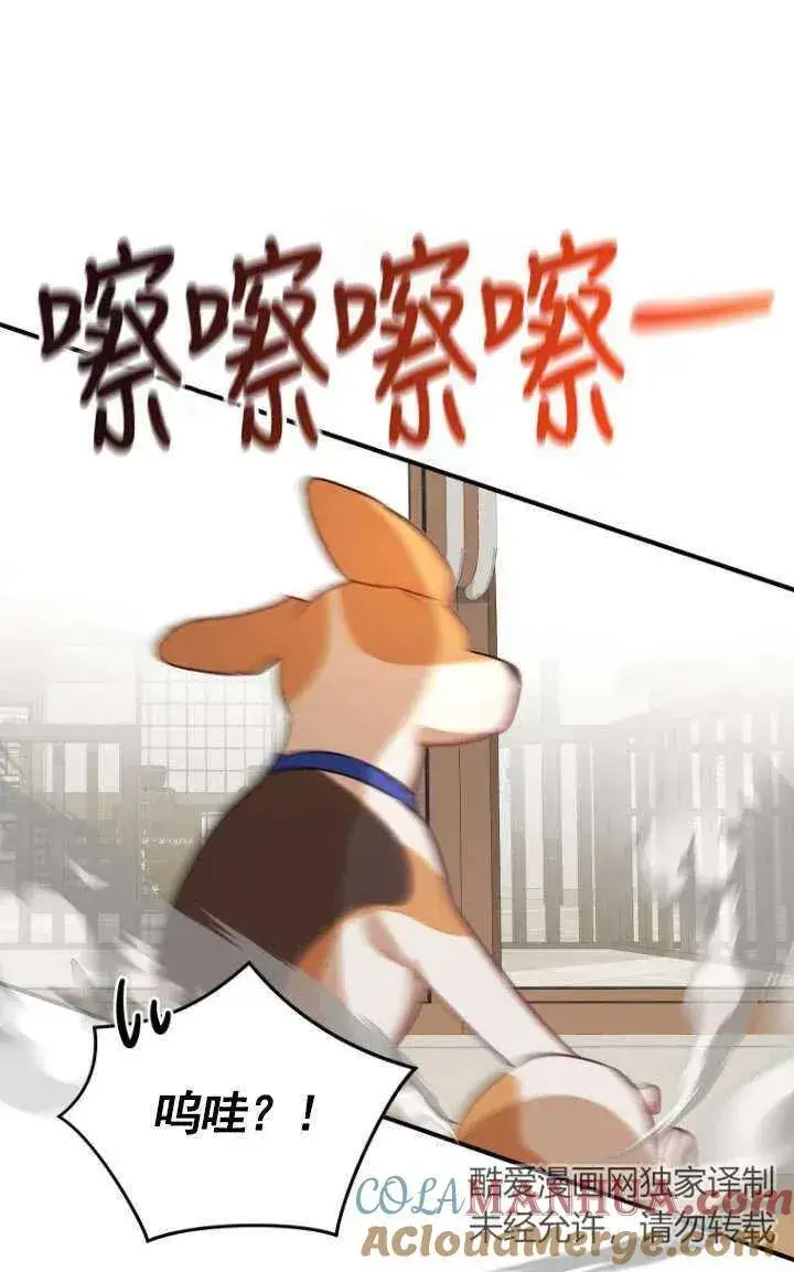 漫画《兽医先生！你好？》第09话第70张图