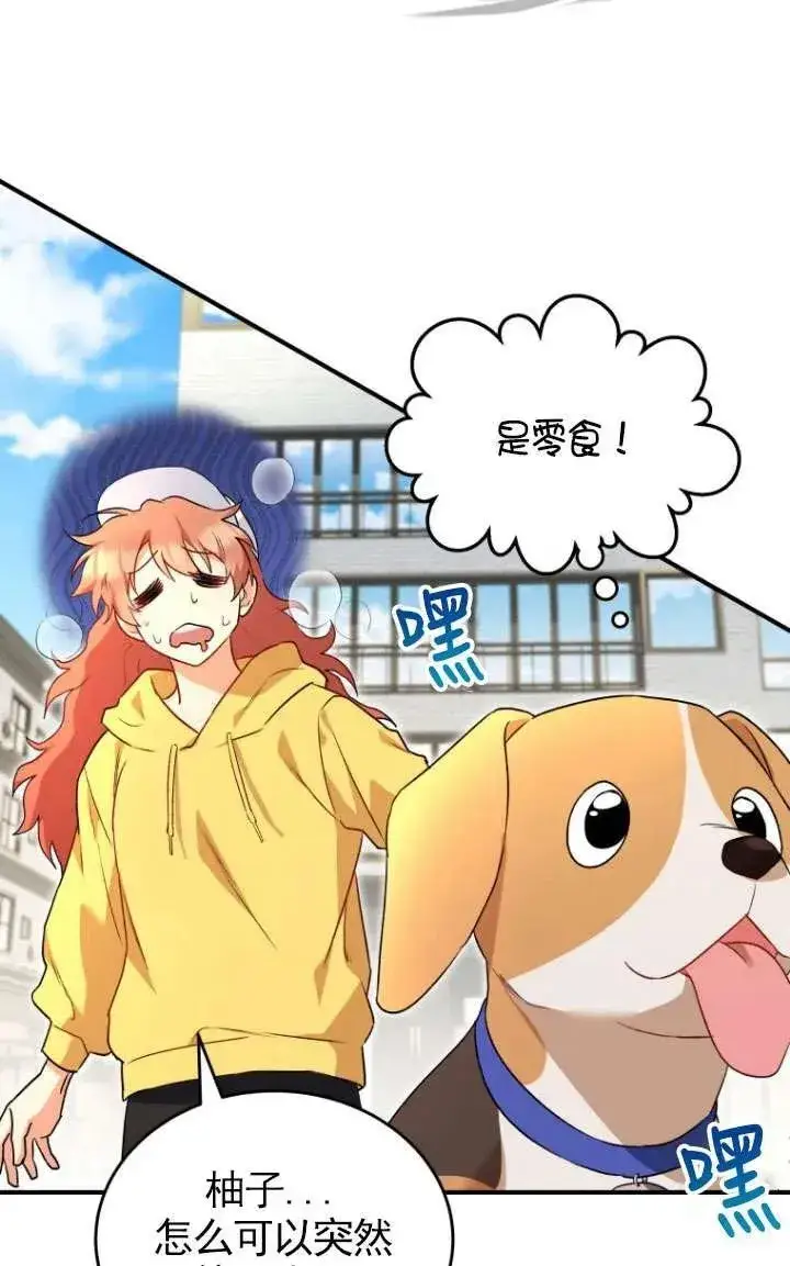 漫画《兽医先生！你好？》第09话第71张图