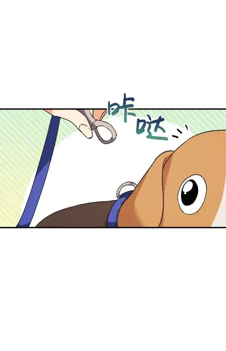 《兽医先生！你好？》第10话图16