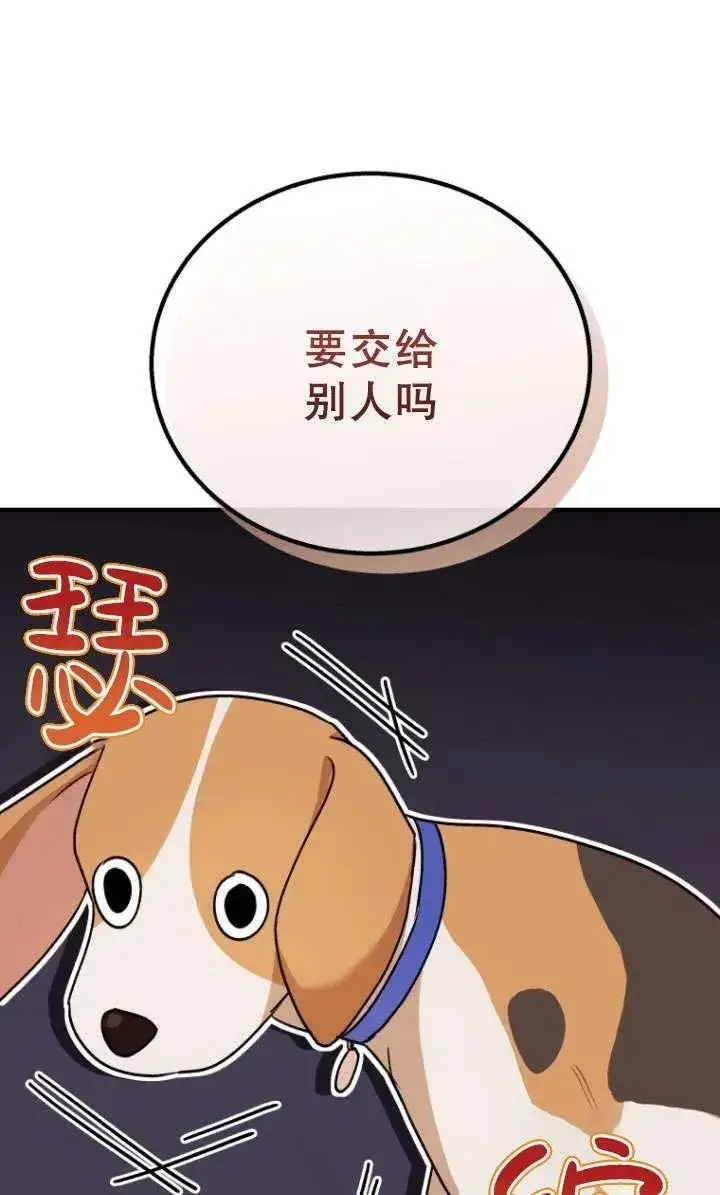 《兽医先生！你好？》第10话图42