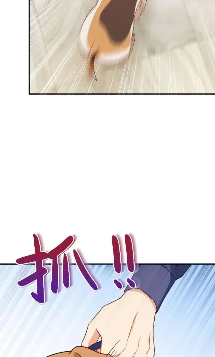 《兽医先生！你好？》第10话图54