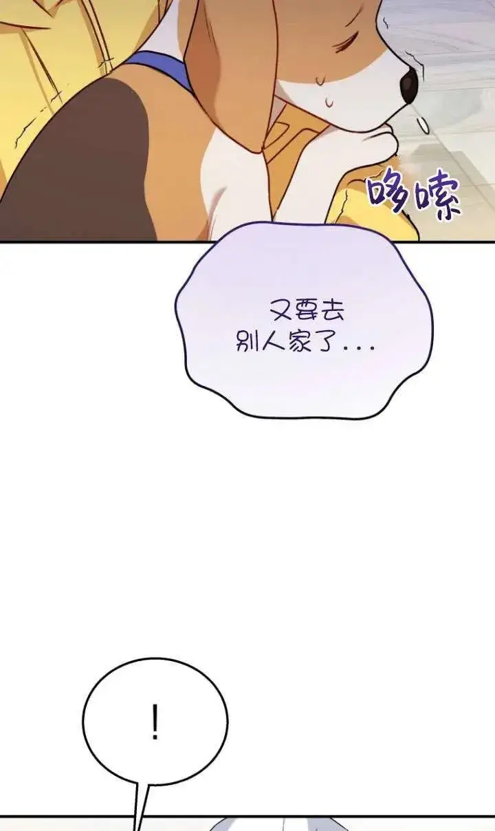 《兽医先生！你好？》第10话图63