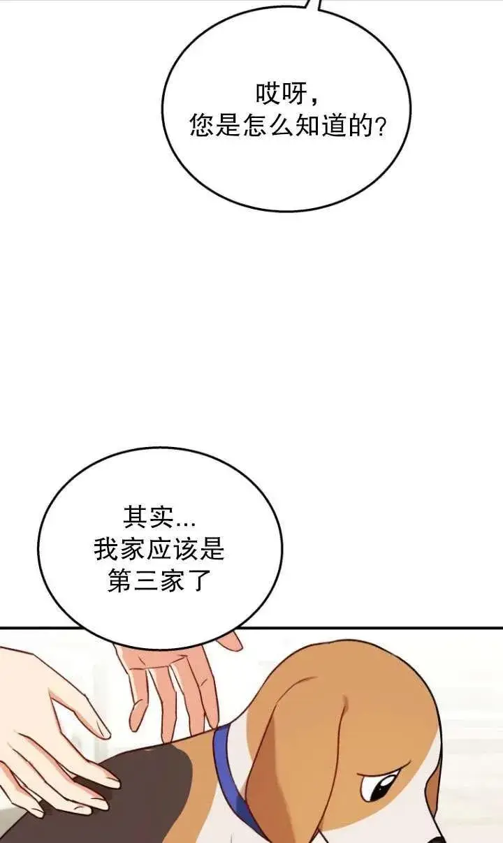 《兽医先生！你好？》第10话图66