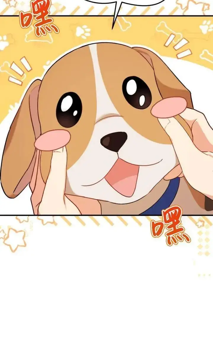 《兽医先生！你好？》第10话图95