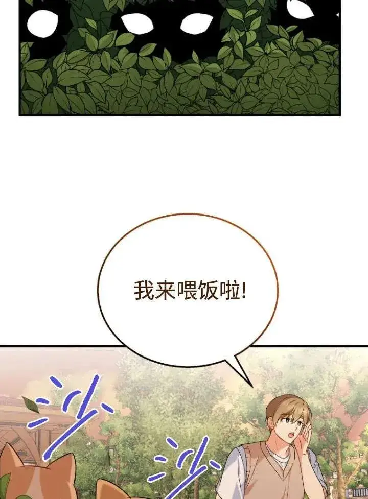 漫画《兽医先生！你好？》第11话第51张图