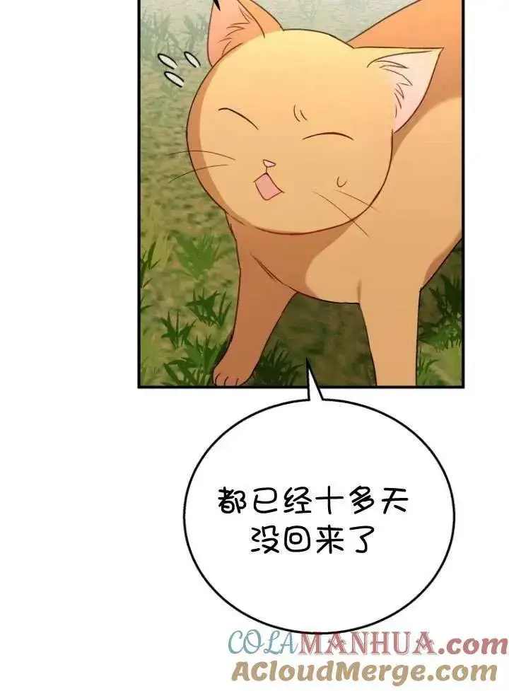 漫画《兽医先生！你好？》第11话第64张图
