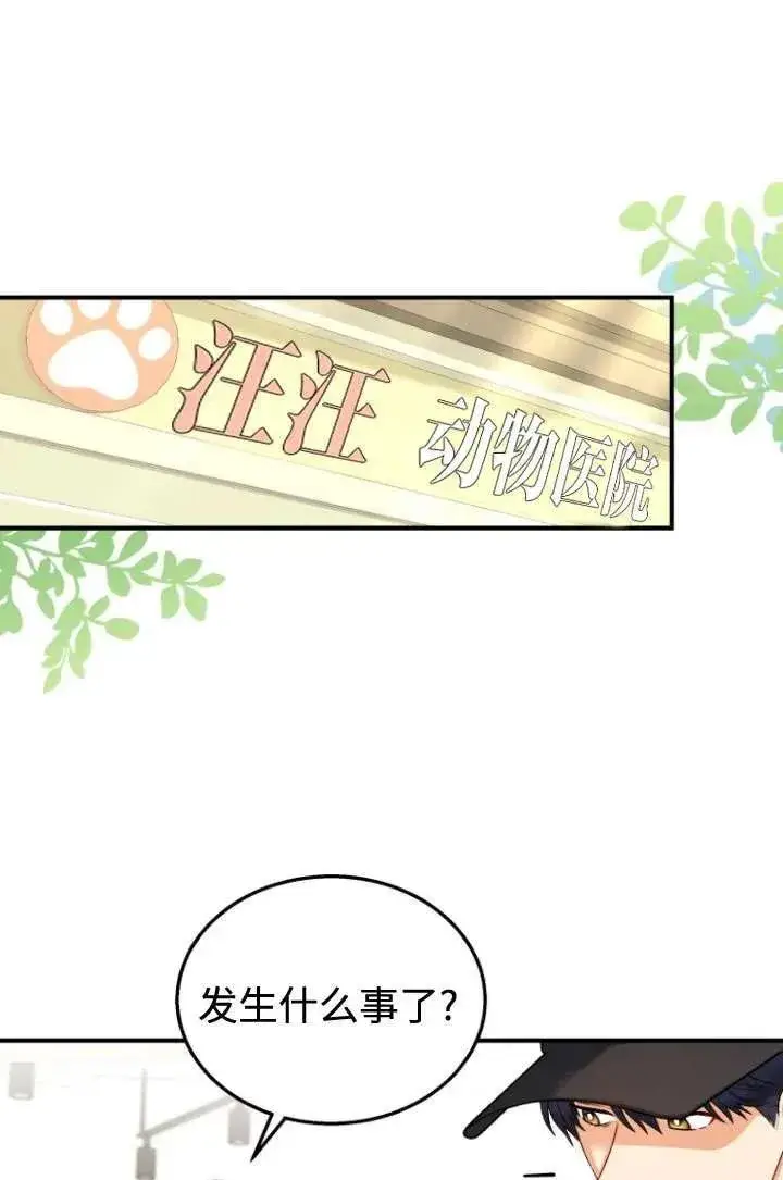 漫画《兽医先生！你好？》第11话第9张图