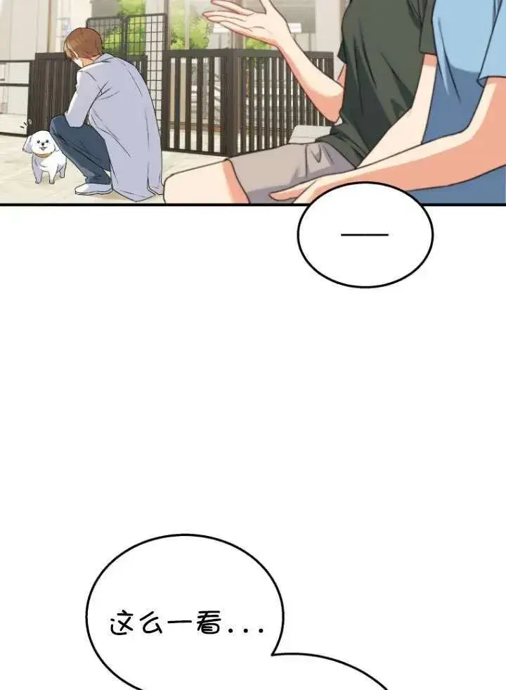 漫画《兽医先生！你好？》第12话第2张图
