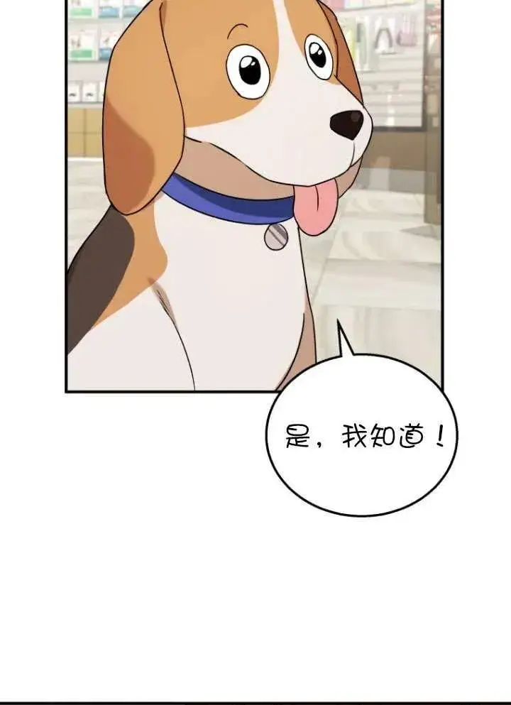 漫画《兽医先生！你好？》第12话第27张图