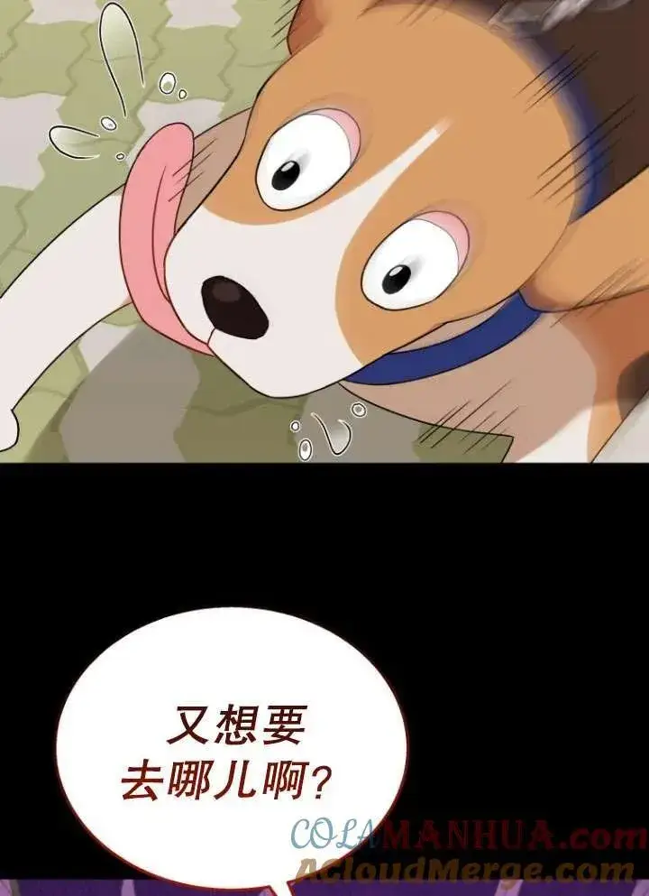漫画《兽医先生！你好？》第12话第40张图