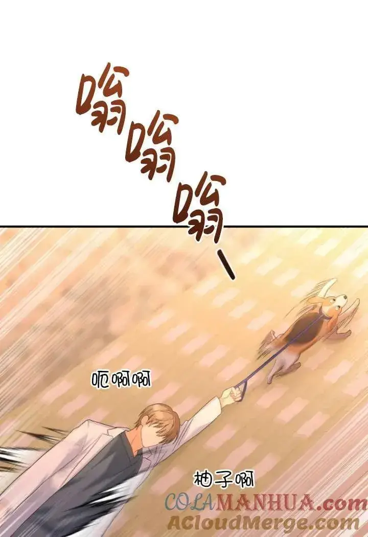 漫画《兽医先生！你好？》第12话第67张图