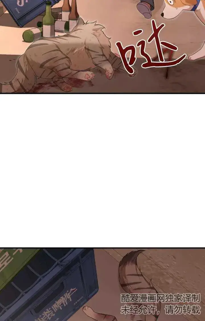 漫画《兽医先生！你好？》第12话第96张图